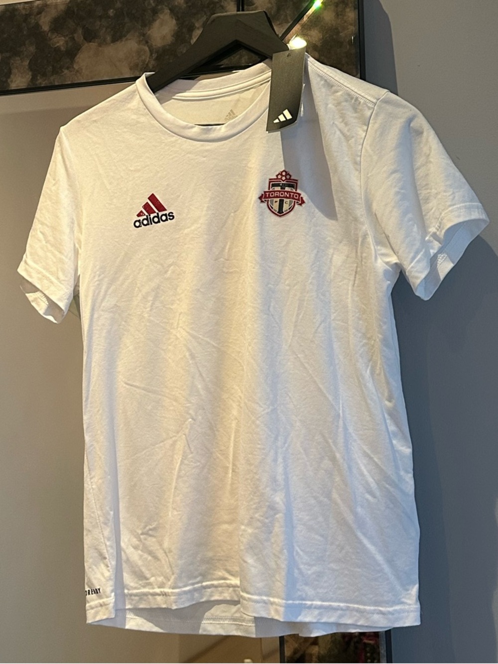 Toronto fc